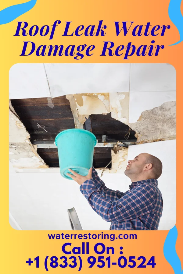 Roof Leak Water Damage Repair in Franklin Park, IL