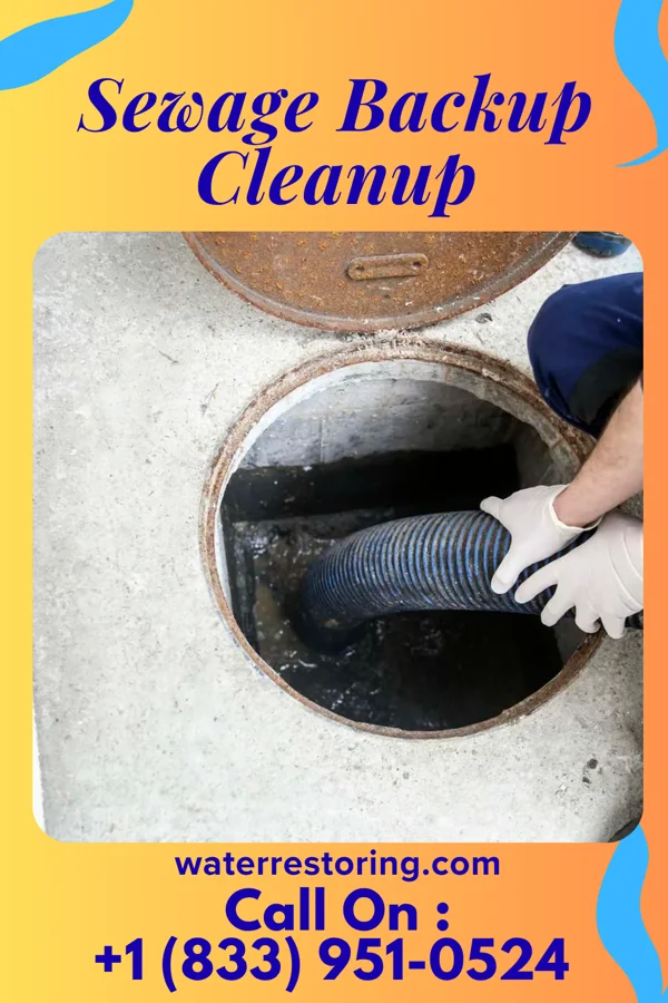 Sewage Backup Cleanup in Franklin Park, IL