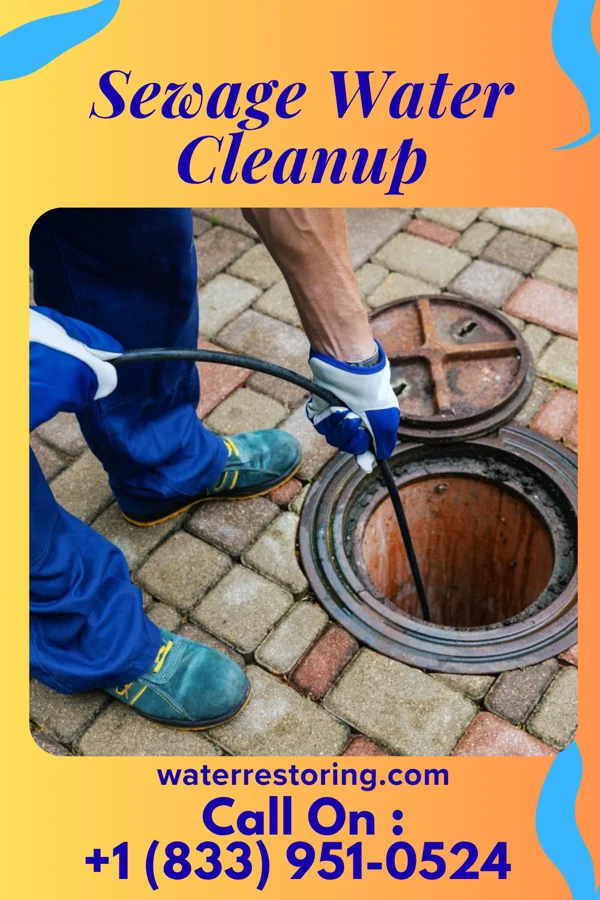 Sewage Water Cleanup in Franklin Park, IL